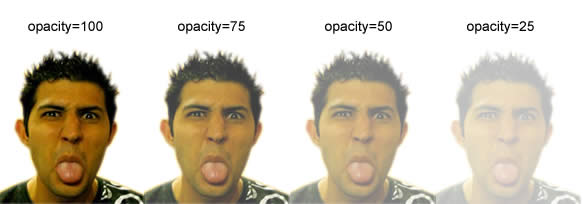 example of different levels of
opacity