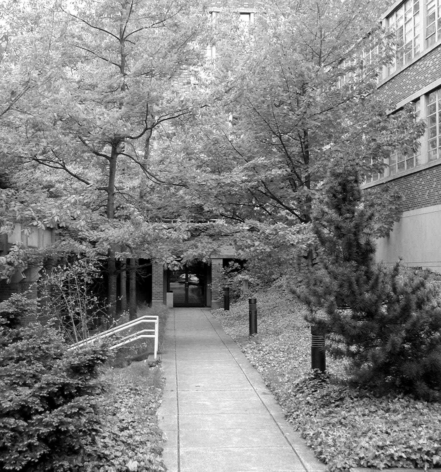 Entrance #4