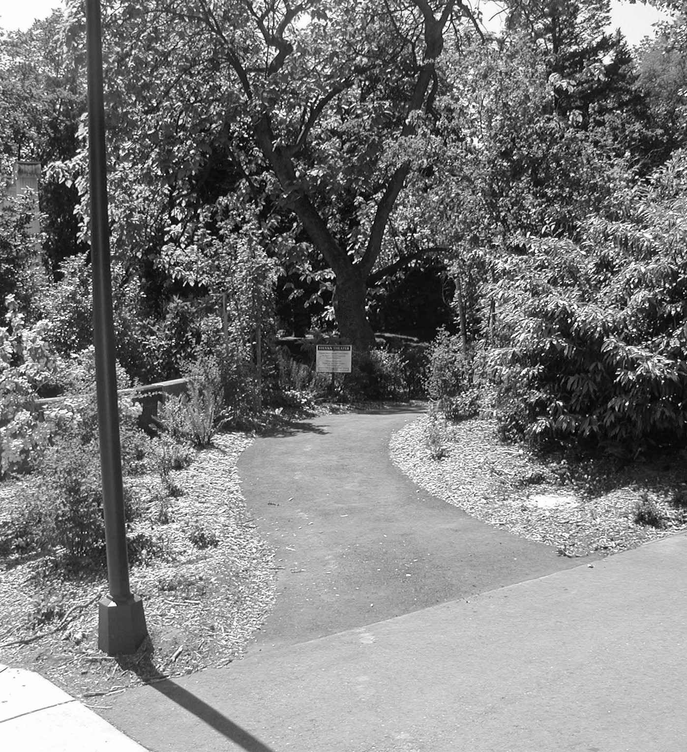 North entrance from Stevens Way