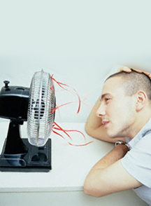 grab a fan