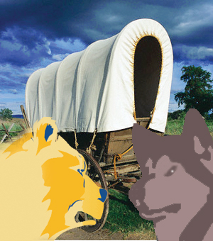 cowhand