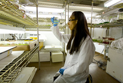 Laboratory