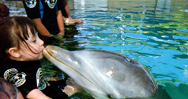 Photograph of Delilah kissing a dolphin.