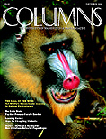 Columns December 1998