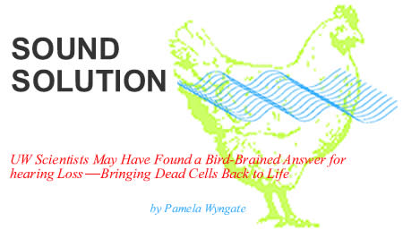 UW Scientists May Have Found a Bird-Brained Answer for Hearing Loss--Bringing Dead Cells Back to Life.