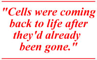 Cells were coming back to life after they'd already been gone.