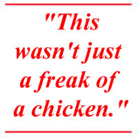 This wasn't just a freak of a chicken.