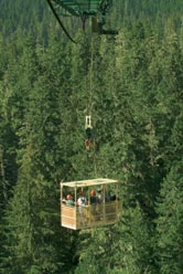 25-story-tall construction crane located in the Wind River Experimental Forest