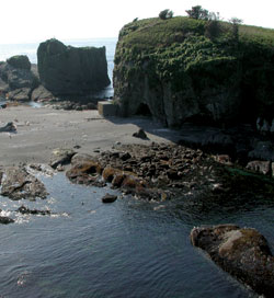 Tatoosh Island