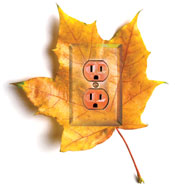 Leaf plug