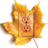 Green plug