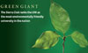 Green Giant