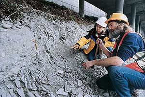 UW geologists Kathy Troost and Derek Booth inspect a series of folded and faulted beds under southbound I-5. Photo by Mary Levin.