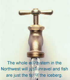The whole ecosystem in the Northwest will just unravel and fish are just the tip of the iceberg.
