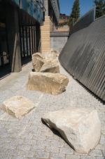 Rock garden. Rock garden.
