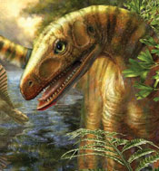 Asilisaurus kongwe