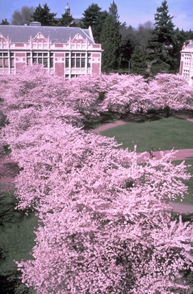 Liberal Arts Quadrangle.