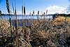 Union Bay Natural Area