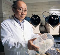 UW Research Professor Henry Lai with a few of his laboratory rats. Photo by Kathy Sauber.