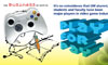Business of Gaming
