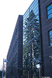 Trees reflected in new UW Bothell building