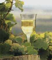 White wine