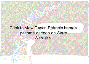 Click to view genome research cartoons on 'Slate' Web site.