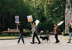 Striking TAs march in a picket line across the UW's 17th Avenue N.E. entrance. Photo by Mary Levin.