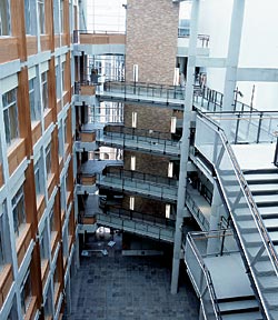 A skylight allows the sun to illuminate the Allen Center's six-story atrium as construction workers put their finishing touches on the space. Photo by Kathy Sauber.