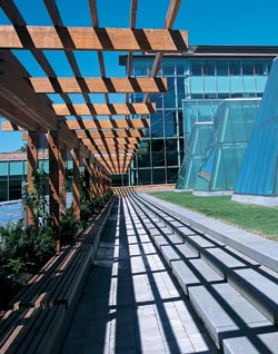 A garden-like outdoor terrace overlooking the building's signature skylights and campus green offers students and faculty a place to gather and enjoy nature. Photo by Kathy Sauber.