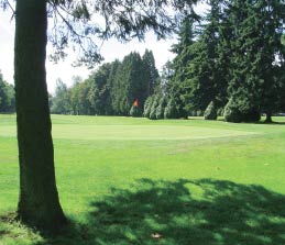 Had different decisions been made in the 1890s, the UW campus could have
been located where the Jefferson Park Municipal Golf Course stands in Beacon
Hill. Photo courtesy Jefferson Park Golf Course.