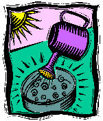 Illustration showing stem cells being 'grown'