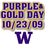 Purple & Gold - 100x73