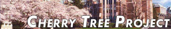 Cherry Tree Project