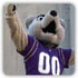 Husky Sports