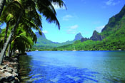 Polynesia