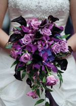 UW Wedding Fair