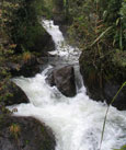 A Natural Captial Project site in Ecuador