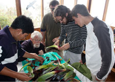 Dissecting a bromeliad