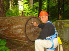 Ben Harrison counts tree rings at Olympic Natural Resources Center