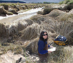 Jeanette Dorner measures a tidal channel in the Nisqually River estuary.