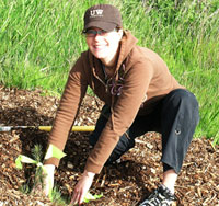 Ara Erickson, '04, plants trees in the Union Bay Natural Areas Centennial Grove.