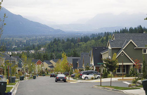 Housing takes place of forests