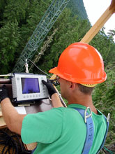 Wind River Canopy Crane