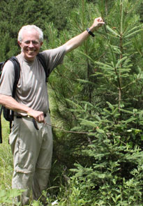 Tom Hinckley indicates new growth in a naturally regenerated spruce tree, Sichuan Province, China. 