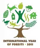 International Year of Forests logo