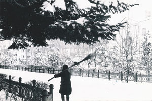 Broom in Snow by Georgy Pakin