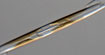 Pseudo-nitzschia diatom