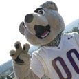 UW mascot