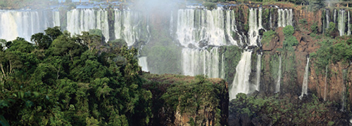Africa's Wildlife